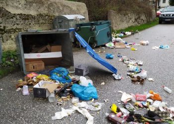 “Γυαλιά καρφιά” τα έκανε ανήμερα του Πάσχα αρκούδα στην Καλλιρρόη