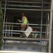 Άδειες σε 147.925 ξένους για να εργαστούν στην Ελλάδα