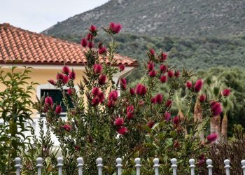 Καιρός – Τσατραφύλλιας: Πώς θα κάνουμε εργατική Πρωτομαγιά