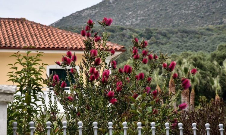 Καιρός – Τσατραφύλλιας: Πώς θα κάνουμε εργατική Πρωτομαγιά