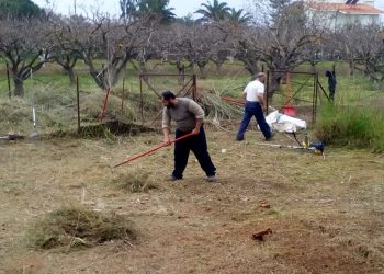 Δ. Τρικκαίων: Καθαρισμός των οικοπέδων από τους πολίτες για την αποτροπή πυρκαγιών