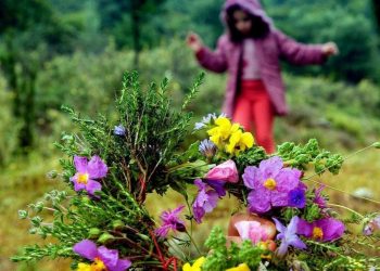 Καιρός: Λιακάδες σήμερα – Πού θα βρέχει την Πρωτομαγιά