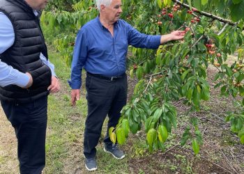 Στις πληγείσες από την καταιγίδα καλλιέργειες των χωριών του Δήμου Φαρκαδόνας ο Κώστας Σκρέκας