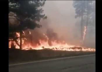 Ρωσία: Δασική πυρκαγιά μαίνεται εκτός ελέγχου – Εκκενώθηκε χωριό