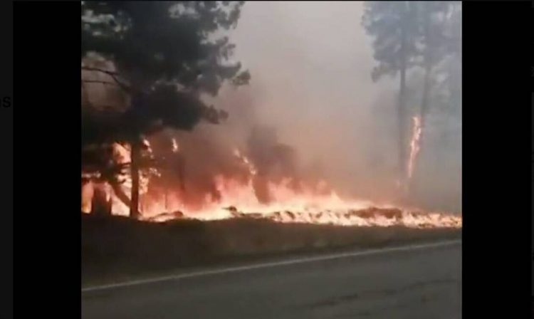 Ρωσία: Δασική πυρκαγιά μαίνεται εκτός ελέγχου – Εκκενώθηκε χωριό