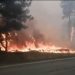 Ρωσία: Δασική πυρκαγιά μαίνεται εκτός ελέγχου – Εκκενώθηκε χωριό