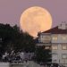 Φεγγάρι του «λουλουδιού» 2023: Την Παρασκευή η πιο φωτεινή πανσέληνος