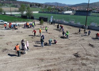 Δενδροφυτεύσεις και εκπαιδεύσεις από τη ΔΕΗ και τη We4all