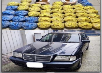 Τρικαλινός συνελήφθη σε περιοχή της Πύλης με πάνω από 49 κιλά αφορολόγητου καπνού