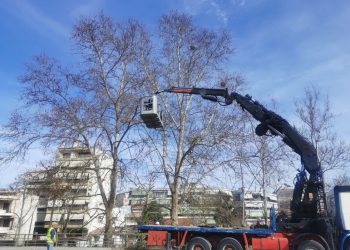 «Πράσινη» φροντίδα από τον Δήμο Τρικκαίων με κλάδεμα 2.571 δέντρων σε 6 μήνες