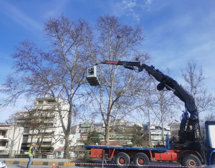 «Πράσινη» φροντίδα από τον Δήμο Τρικκαίων με κλάδεμα 2.571 δέντρων σε 6 μήνες