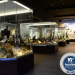 Δύο βραβεία του μουσείου Μετεώρων από τα Tourism Awards 2023