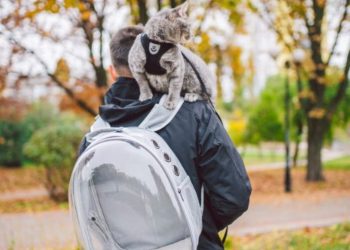 Αυτά τα ζώδια συμπεριφέρονται στα κατοικίδιά τους σαν παιδιά τους