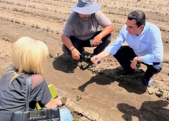 Δίπλα στους πληγέντες παραγωγούς των χωριών του Δήμου Φαρκαδόνας ο Κώστας Σκρέκας