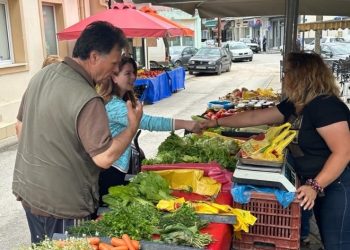 Κ. Παπακώστα: Μετά τις  25 Ιουνίου, θα βάλουμε ξανά μπροστά τις μηχανές