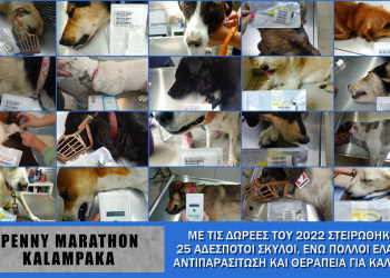 Penny Marathon Καλαμπάκα 2022-23