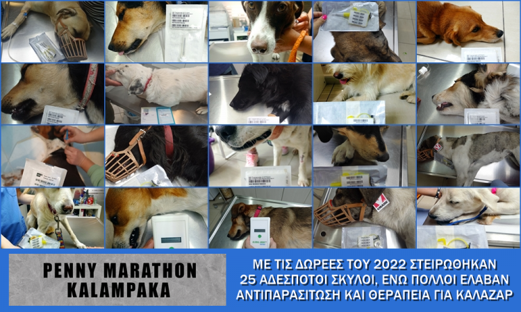 Penny Marathon Καλαμπάκα 2022-23