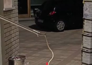 Βόλος: Φίδι έκανε βόλτες σε σούπερ μάρκετ