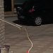 Βόλος: Φίδι έκανε βόλτες σε σούπερ μάρκετ