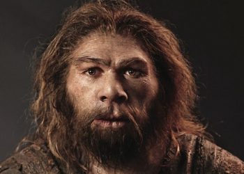 Προϊστορικό οστό υποδεικνύει ότι οι πρόγονοί μας ήταν κανίβαλοι – Τι βρήκαν οι επιστήμονες