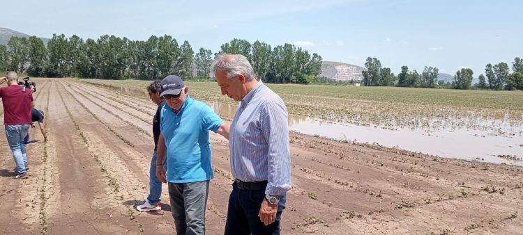 Χρήστος Μιχαλάκης: Άμεσα και ουσιαστικά στο πλευρό των αγροτών-Στις πληγείσες αγροτικές περιοχές του Δ. Φαρκαδόνας βρέθηκε ο Αντιπεριφερειάρχης