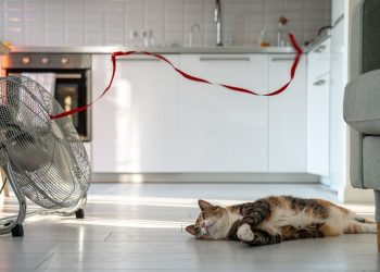 Μικρά μυστικά για να δροσίσετε το σπίτι με έναν ανεμιστήρα