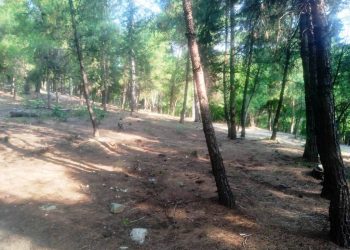 Μέτρα πρόληψης πυρκαγιών στον Προφήτη Ηλία κι άλλα σημεία