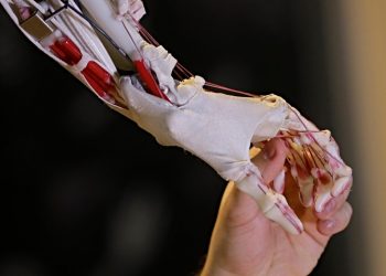 Ρομπότ – «μαέστρος» διηύθυνε ορχήστρα για πρώτη φορά (βίντεο)