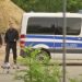 Bερολίνο: Συναγερμός για το λιοντάρι που «κόβει βόλτες» – Χτενίζουν δρόμους και δάση