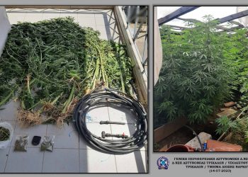 Εντοπίστηκε φυτεία κάνναβης στην περιοχή των Μετεώρων-Συνελλήφθησαν 2 άντρες