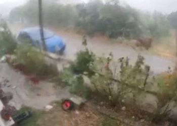Μεγάλες καταστροφές σε Πλάτανο, Ρίζωμα και Αρδάνι από μπουρίνι που έπληξε την περιοχή (φωτό και βίντεο)