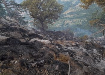 Ο Νίκος Κρούπης σχετικά με την πυρκαγιά στην περιοχή Καλογήρων-Στουρναραίικων