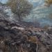 Ο Νίκος Κρούπης σχετικά με την πυρκαγιά στην περιοχή Καλογήρων-Στουρναραίικων