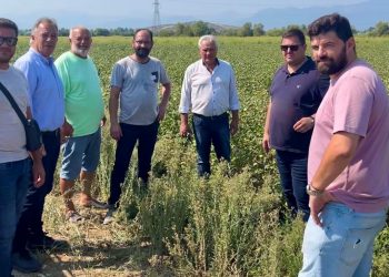 Στις πληγείσες από την κακοκαιρία περιοχές κλιμάκιο του ΕΛΓΑ – Χρ. Μιχαλάκης: Άμεση κινητοποίηση για την στήριξη αγροτών και κτηνοτρόφων