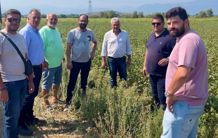 Στις πληγείσες από την κακοκαιρία περιοχές κλιμάκιο του ΕΛΓΑ – Χρ. Μιχαλάκης: Άμεση κινητοποίηση για την στήριξη αγροτών και κτηνοτρόφων