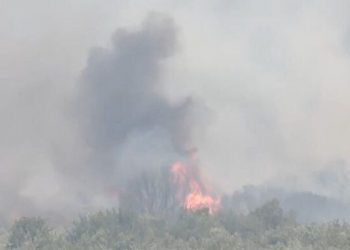 Βοιωτία: Μεγάλη αναζωπύρωση στη Βοιωτία – Φόβοι μην φτάσει στο ελατόδασος