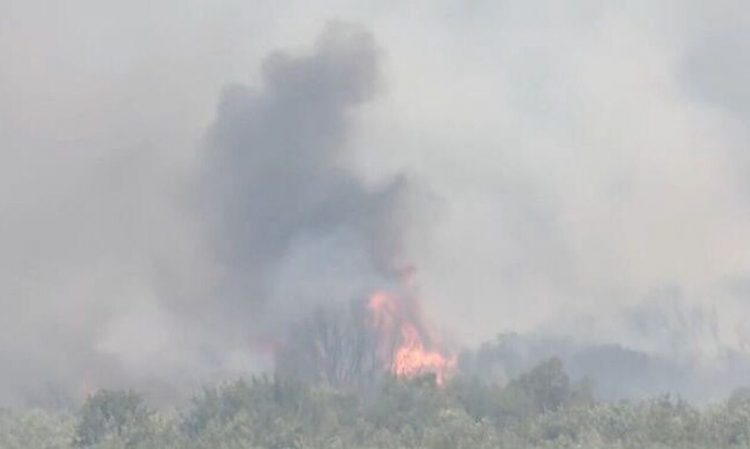 Βοιωτία: Μεγάλη αναζωπύρωση στη Βοιωτία – Φόβοι μην φτάσει στο ελατόδασος