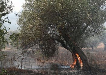 Έβρος Pass: Τι είναι το μέτρο που ανακοίνωσε ο Μητσοτάκης για τους πυρόπληκτους