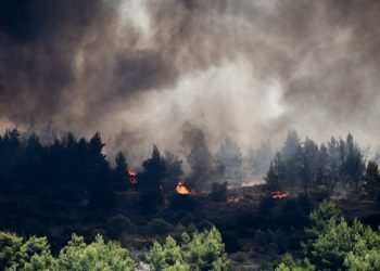 Φωτιά σε δάσος στα Στουρναραίϊκα | Δύσκολη η πρόσβαση στην εστία