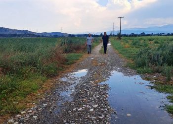 Άμεσα δίπλα στους χαλαζόπληκτους αγρότες ο Χρήστος Μιχαλάκης