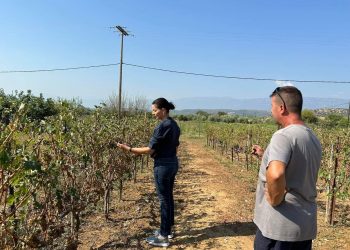 Η Μαρίνα Κοντοτόλη σε Πλάτανο, Ρίζωμα κι Αρδάνι για αυτοψία στις μεγάλες καταστροφές από την χαλαζόπτωση