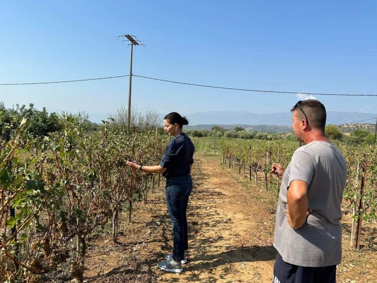 Η Μαρίνα Κοντοτόλη σε Πλάτανο, Ρίζωμα κι Αρδάνι για αυτοψία στις μεγάλες καταστροφές από την χαλαζόπτωση