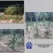 Εντοπίστηκε οργανωμένη φυτεία δενδρυλλίων κάνναβης σε δασώδη έκταση σε περιοχή του Δήμου Μετεώρων-Συνελήφθησαν 2 αλλοδαποί