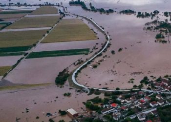 Πρώτη γνωμάτευση του ΓΠΑ για τα εδάφη μετά τις πλημμύρες στον κάμπο