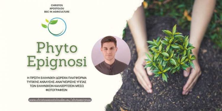 PhytoEpignosi – Η πρώτη Ελληνική δωρεάν πλατφόρμα που οι αγρότες μπορούν να ελέγξουν την τυπική υγεία των καλλιεργειών τους!