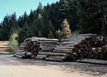 Να συνεχιστεί η συνεργασία του ΑΠΘ με τους Δασικούς Συνεταιρισμούς Περτουλίου