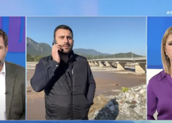 Στην ΕΡΤ ο Αβραμόπουλος | Απηύθυνε έκκληση στον πρωθυπουργό για βοήθεια (video)
