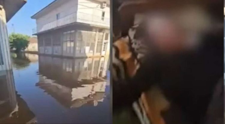 «Πού είσαι βρε αγόρι μου;»: Συγκλονιστικό βίντεο με γιο να βρίσκει την εγκλωβισμένη μάνα του στον πλημμυρισμένο Παλαμά