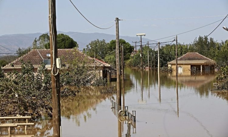 arogi.gov.gr: Άνοιξε η πλατφόρμα για τις αποζημιώσεις από την κακοκαιρία Daniel – Εδώ οι αιτήσεις