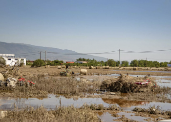 Θεσσαλία: Προσπαθούν να μαζέψουν τα νεκρά ζώα σε Τρίκαλα και Λάρισα